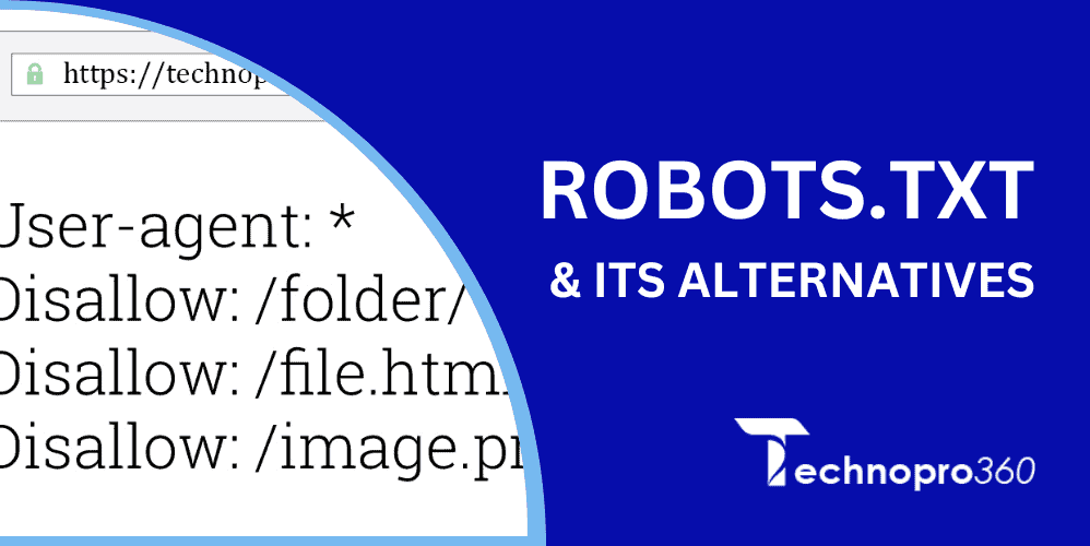 robots.txt file and its alternatives
